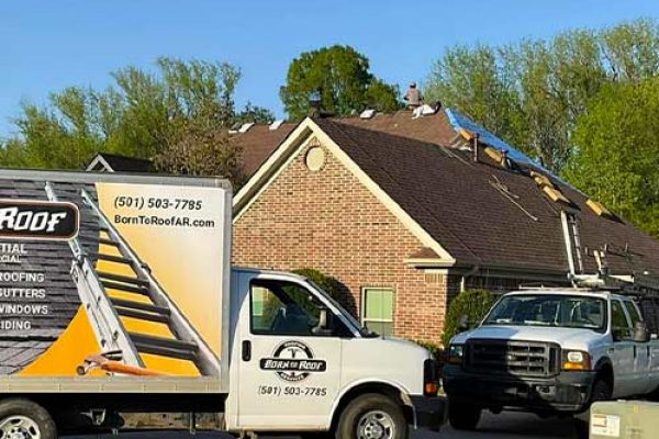 born-to-roof born-to-roof