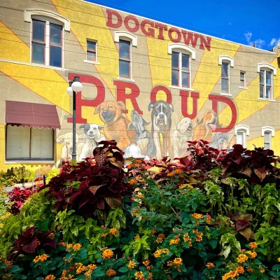 Born to Roof serves North Little Rock, Arkansas and surrounding areas